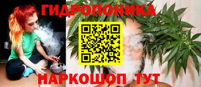эйфоретик Будённовск