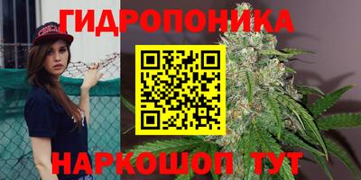 эйфоретик Будённовск