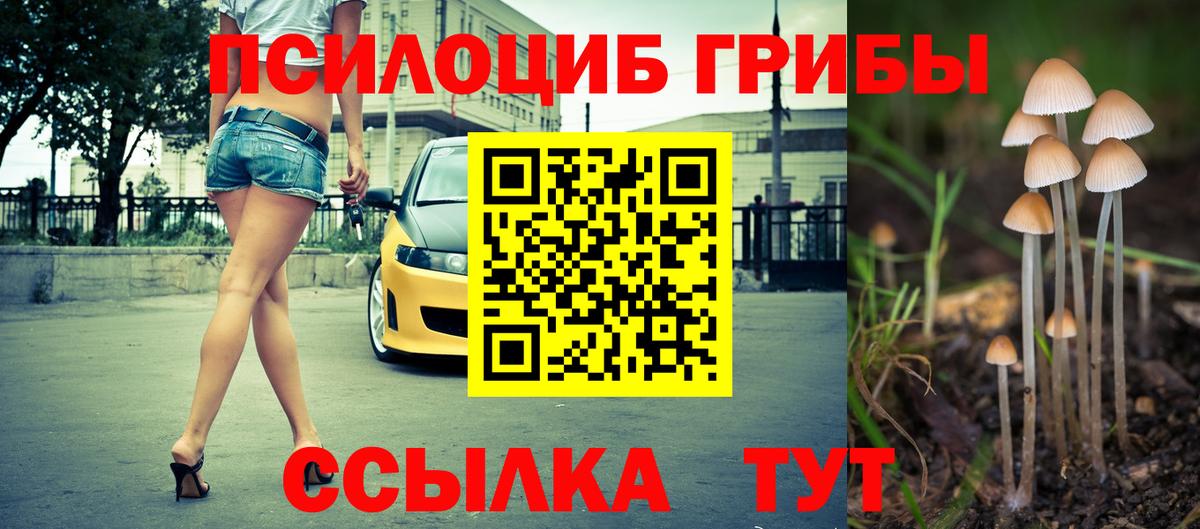 Псилоцибиновые грибы Psilocybine cubensis Кунгур