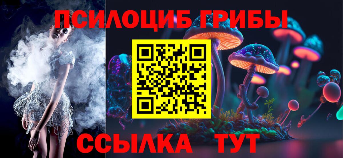 Псилоцибиновые грибы MAGIC MUSHROOMS  Вход с VPN  Кунгур 